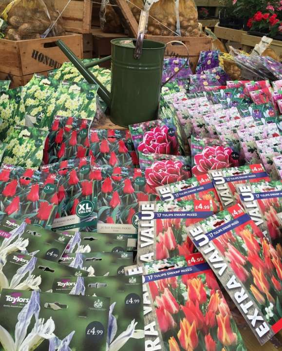 Time to plant! Conkers Garden Centre